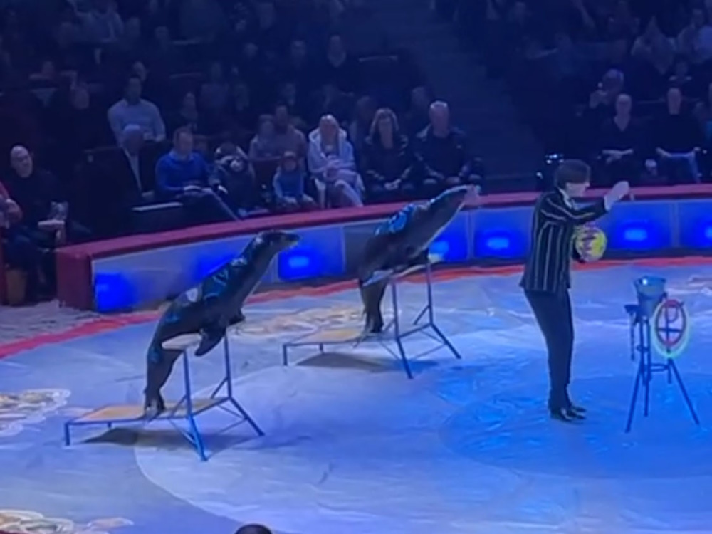 „AmpEr unterwegs“ im Circus Krone